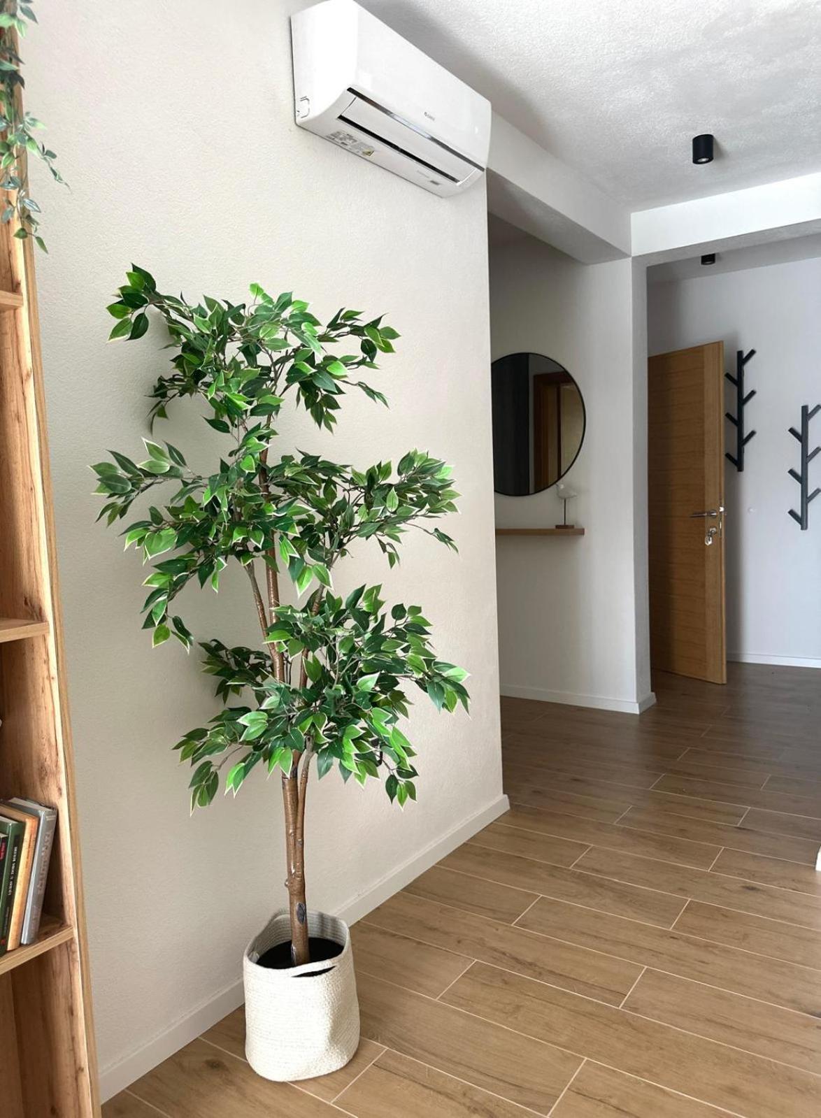 Apartmani Palada Poljica  エクステリア 写真